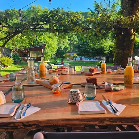 Bastide Du Thore Bed & Breakfast *